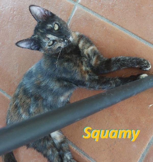 Sonya, Sweety, Squamy & Vicky alla riscossa! Foto 3